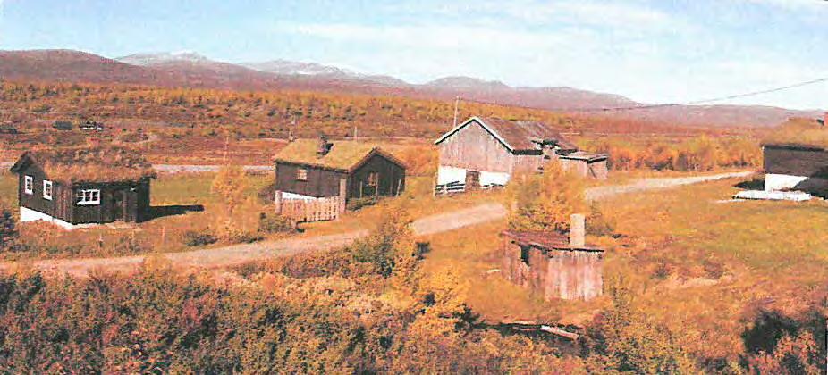 Hans Olav Arnekleiv skriver i søknaden bl.a.: Fjøset på Arnekleivsætra, Uppistuggu Arnekleiv, 22/1, er nå i så dårlig forfatning at det utgjør en fare der det nå står i dag.