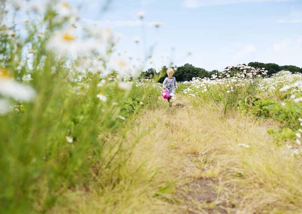 Aase Gaard ligger like ved grønne marker, enger og etablert villabebyggelse på Sandved.