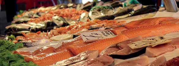 Internasjonale standarder og økt markedsadgang En økende etterspørsel etter sjømat må ifølge FNs matvareorganisasjon FAO møtes gjennom vekst innenfor akvakultur.