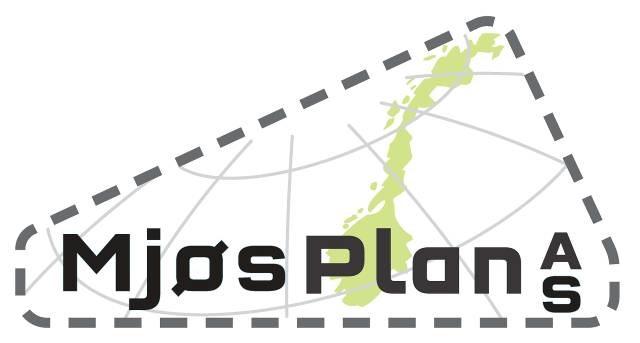 PLANPROGRAM DETALJREGULERINGSPLAN FOR