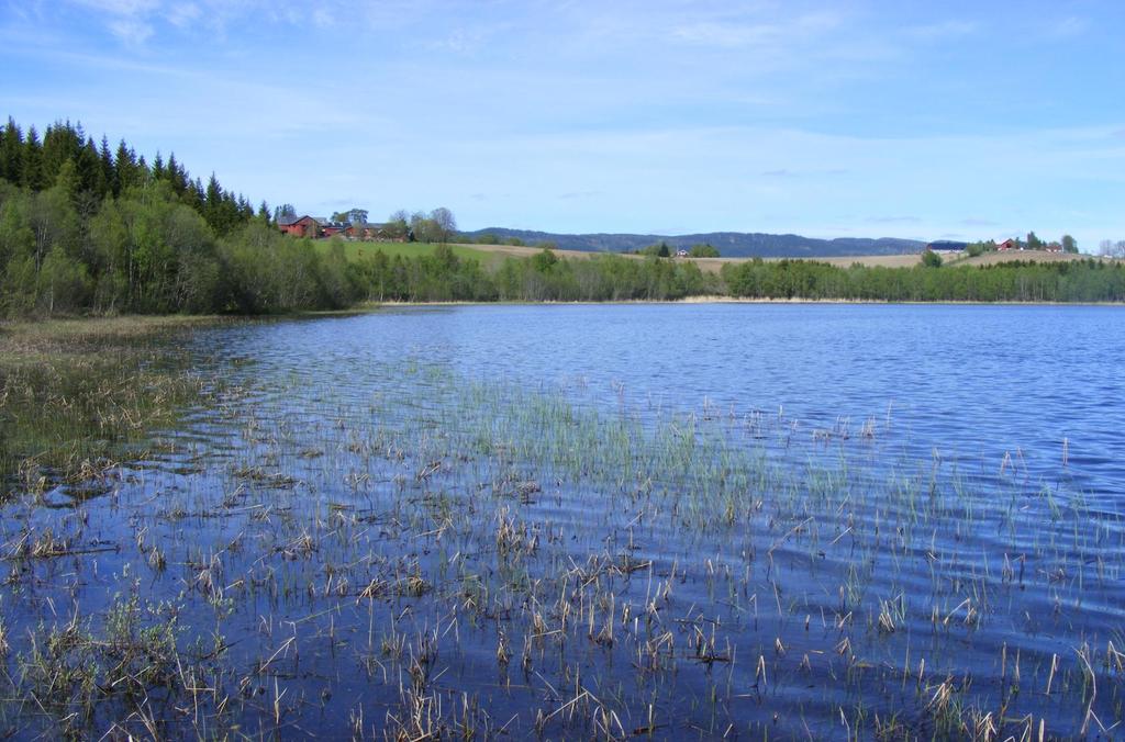 Erfaringer med landbruksforurensning og oppfølging av vannforskriften i N-Trøndelag