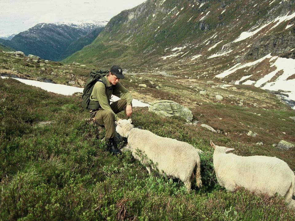 Beredskapsplan Mål: -