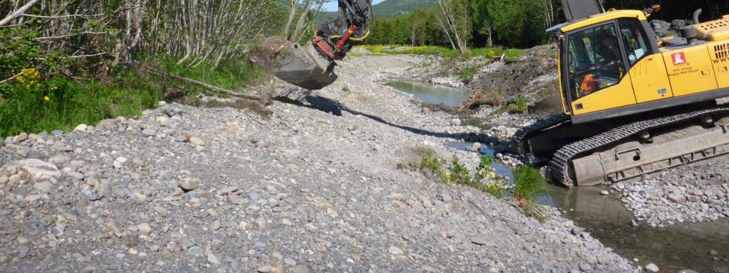 Legges det opp til kun naturlig gjengroing vil det om noen år bli en monoton tettvokst oreskog bestående av tynne stammer i samme høyde.