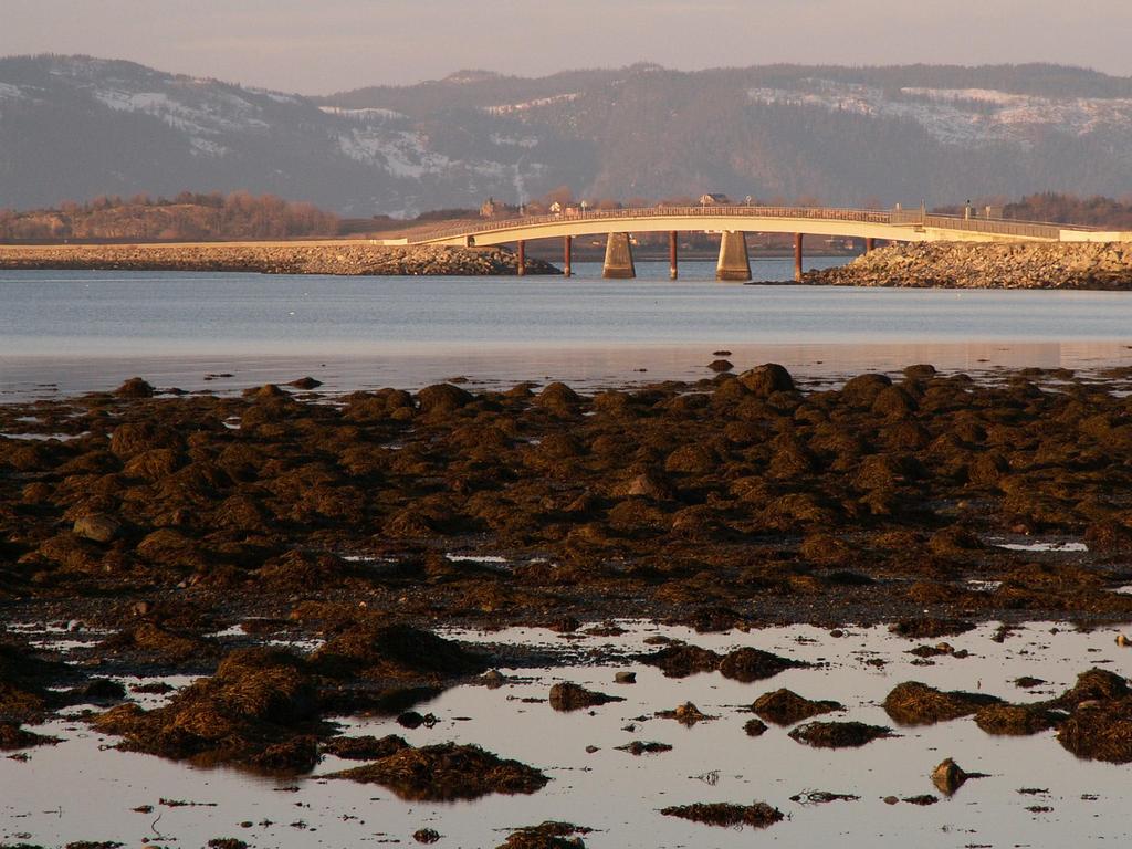 Ramsarområdet Tautra og Svaet Etter en lang prosess ble en 350 m lang bru