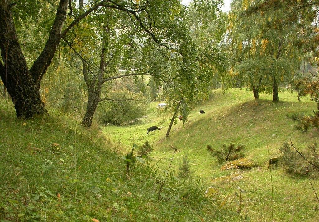 Det historiske gårdslandskapet Kontinuitet eller diskontinuitet? Program: Området fra Frya til Harpefoss, Sør-Fron kommune hva sier kildene om de eldste gårdene?