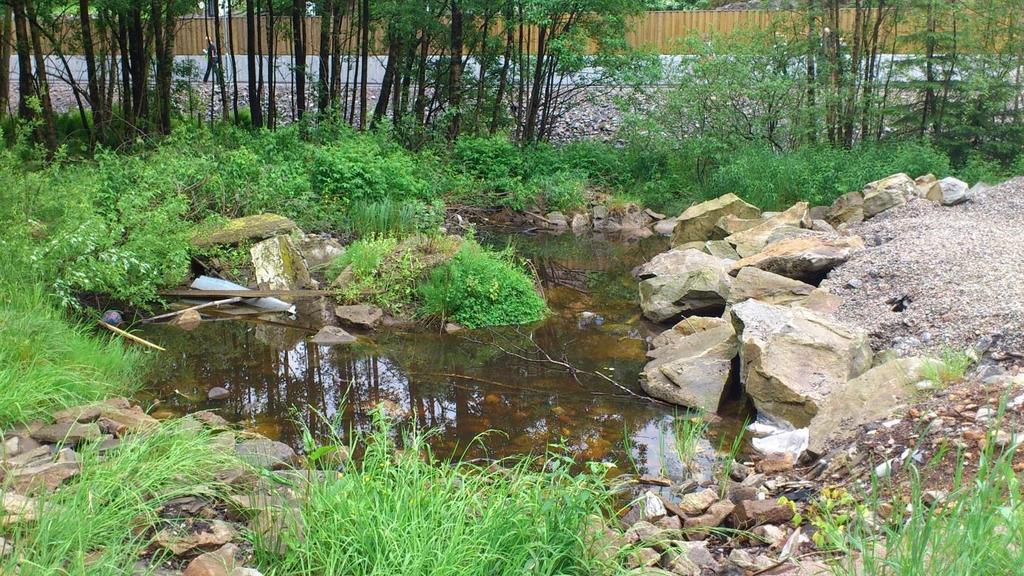 Temarapport ytre miljø 4 1 SMÅSALAMANDER Det er fra før en dam med småsalamander (Triturus vulgaris) nord for E39. Fylling for ny gang- og sykkelveg vil i stor grad gå ut i eksisterende dam.