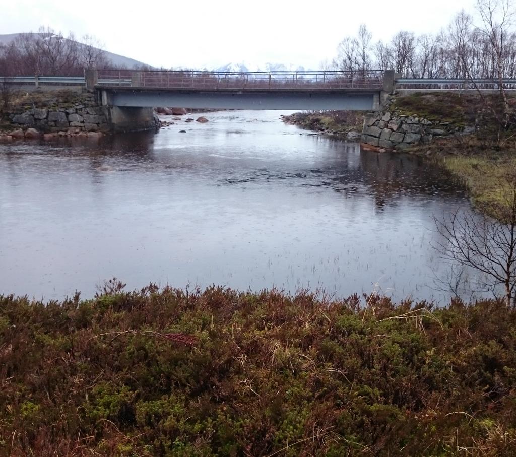 Flom- og vannlinjeberegning for Forfjordelva Andøy kommune,