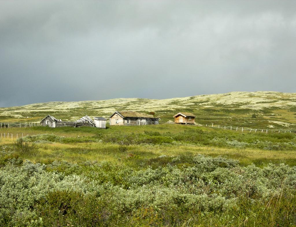 Mineraljorda deles inn i ulike klasser. Omtrent en fjerdedel av den fulldyrka jorda i kommunen har et overflatesjikt med 6-20 % organisk materiale.