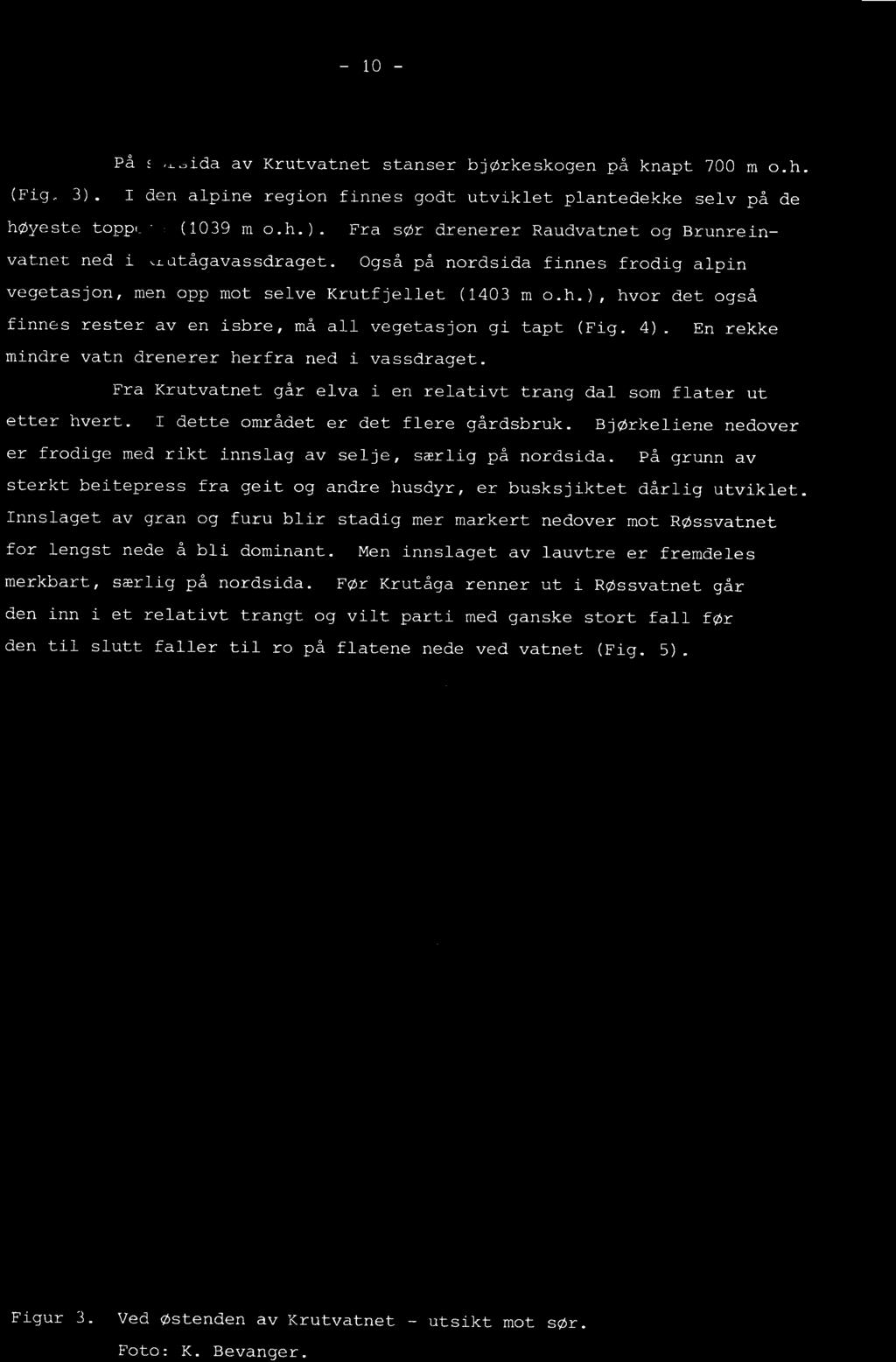 ), hvor det også finnes rester av en isbre, må all vegetasjon gi tapt (Fig. 4). mindre vatn drenerer herfra ned i vassdraget.