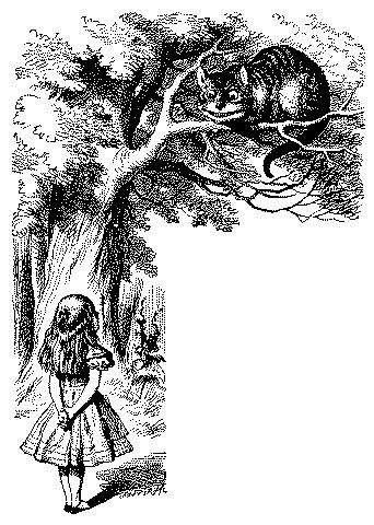 Alice asks the Cheshire Cat: `Would you tell me, please, which way I ought to go from here?