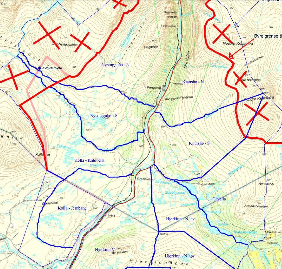 Figur 26. Terrengene som Fuglehundklubbenes forbund (FKF) leier av Statskog (tynn blå linje), samt avgrensning i tillatelse fra Dovrefjell nasjonalparkstyre for perioden (rød linje).