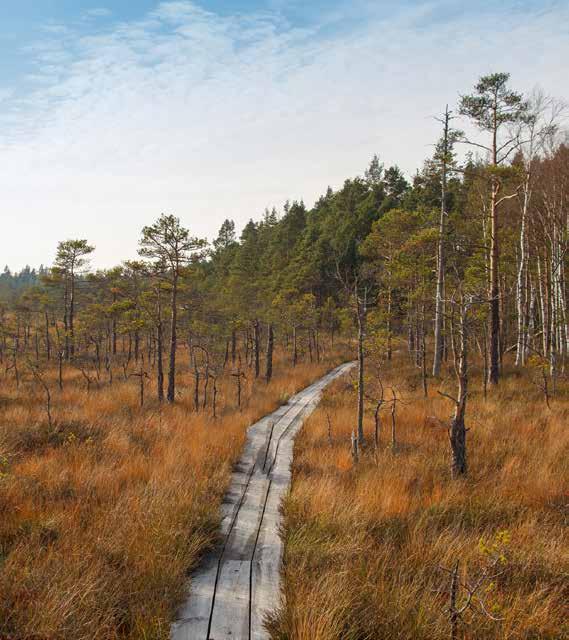 ATV er med sin kvadratiske konstruksjon og terrengdekk bedre egnet i terreng og på skogsbilveier hvor det holdes lav hastighet. Ved kjøring på vei anbefales det å holde hastigheten relativt lav.