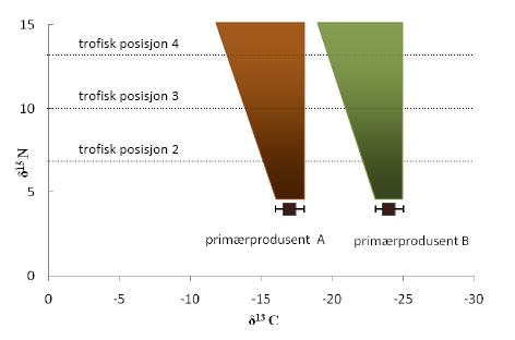 Innledning Overføring mellom trofiske nivå endrer karbonisotopratio i liten grad, og vil derfor kunne brukes til å spore karbonkilden gjennom næringskjeden (Hobson & Welch 1992).