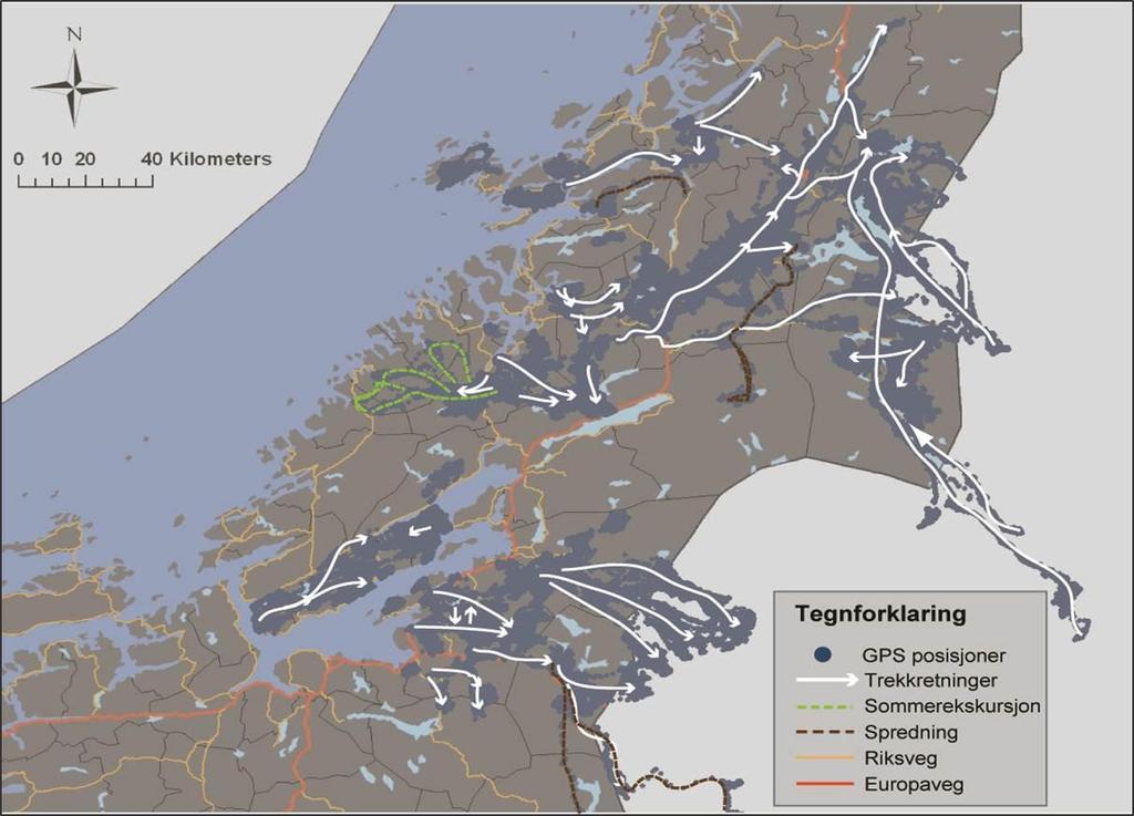 Hjorteviltforskriften av