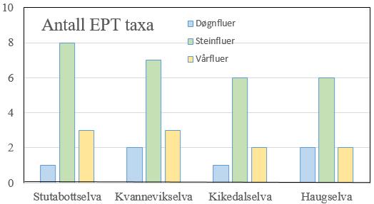 Stutabottselv Kvanevikselv Kikedalselv Haugselv Antall døgnflue-taksa 1 2 1 2 Antall steinflue-taksa 8 7 6 6 Antall vårflue-taksa 3 3 2 2 Antall EPT-taksa 12 12 9 10 Forsuringsindeks I 1 1 1 1