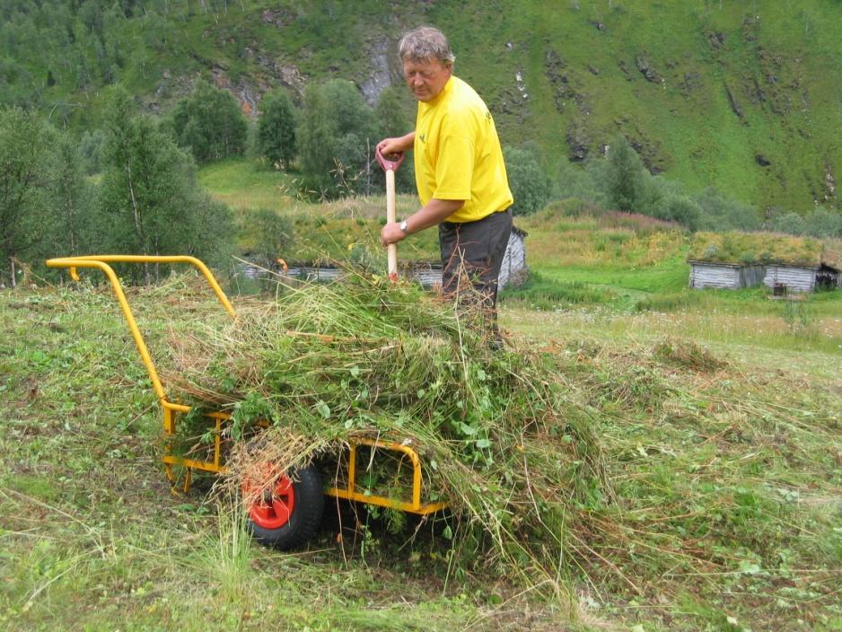 I dag er den mest arbeidskrevende jobben å fjerne graset fra innmarka. Bortkjøring foregår med handtralle og det kan på sikt bli en utfordring å bli kvitt graset på en tilfredsstillende måte.