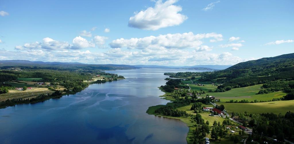 Østlandet På Østlandet er det både fjell og mye skog, men det er også mange gårder. På gårdene dyrker de mye korn og produserer melk.