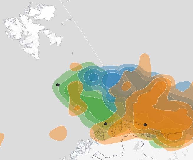 Figur 3: Utbredelse av lomvi (øverst) og polarlomvi (nederst) fra koloniene på Bjørnøya, Hjelmsøya,