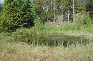 Grave 1 ny dam på myra sør for tjernet Utgravning av dam (dam 4) ved Lok. S i 2006 (Fig.