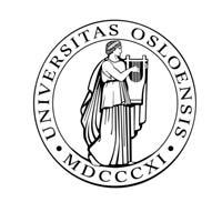Virkninger av skatterettslig gjennomskjæring Universitetet i Oslo Det juridiske