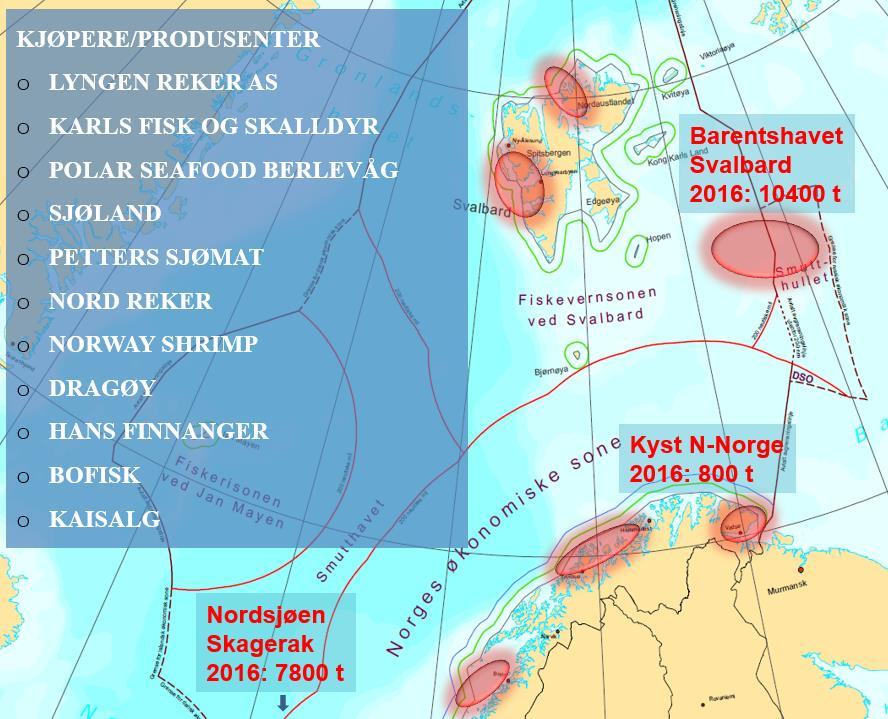 Rekefangst fordelt på fangstområde: Reke nord for 62 o Sum Nordsjøen og Reke Nordsjøen Reke Skagerrak Skagerrak* Sum reke alle områder * MÅNED 2015 2016 2015 2016 2015 2016 2015 2016 2015 2016 JANUAR