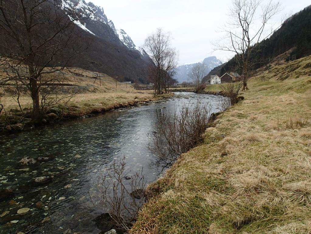 De hydromorfologiske forholdene gir mer egna gytehabitat i