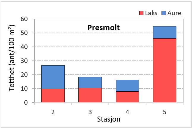 Figur 7. Estimert tetthet av presmolt laks (rød) og aure (blå) på de ulike stasjonene i Korsbrekkelva 17. oktober 2016.