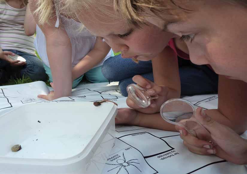 Nr. 16 2013 Skolehage Småkryp i skolehagen Reidun Pommeresche og Kirsty McKinnon, Bioforsk Økologisk. E-post reidun.pommeresche@bioforsk.no. Når elever studerer insekter og småkryp øver de opp evnen til å observere detaljer.