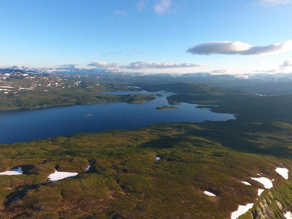 Norsk Sau og Geit 1947 Leder Tove Våg 18 ansatte 11 200 medlemmer 18 fylkeslag 365 lokallag Sau og Geit er og blir det vi gjør