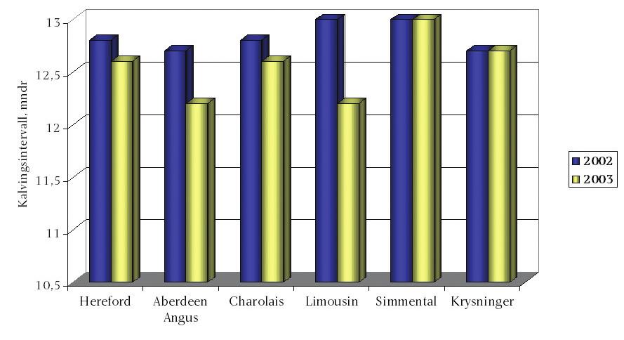 Årsmelding 2003 25 Kalvingsstatistikk Alder ved første kalving og kalvingsintervall Rase Alder ved Antall Kalvings Antall første kalving første intervall kyr (mnd) gangs (mnd) kalvere Hereford 35,9