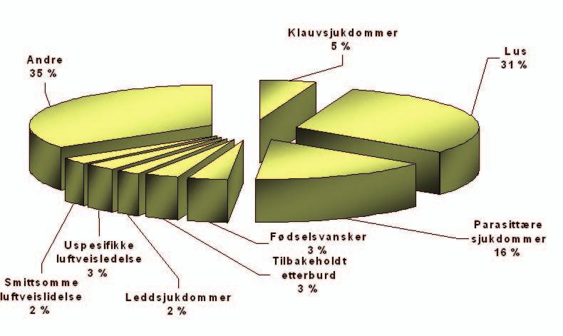 Årsmelding 2003 37 Helseopplysninger Det er et stort ønske at medlemmene i større grad bruker Storfekjøttkontrollen til å holde oversikt over helsestatusen i egen buskap.