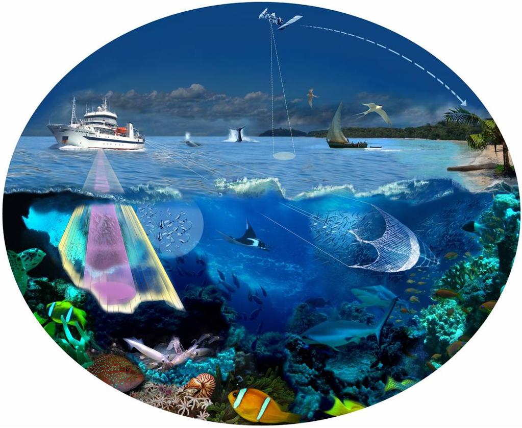 Miljøundersøkelser på dypt vann i Gulf of Guinea Bjørn Serigstad