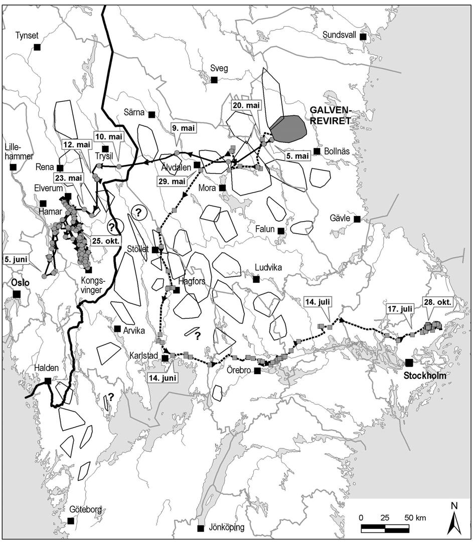 Figur 5. Utvandring av to ettårige ulvesøsken fra Galvenreviret, en tispe (heltrukken strek) og en hann (stiplet linje) i mai-juli 2009.