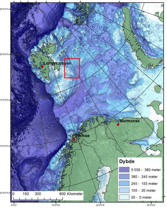 Figur 4.1 Oversiktskart over Barentshavet, samt Nordkalotten, Svalbard og Novaja Semlja 4.2 Undersøkelsesområde Kjerneprøvene er tatt i et forholdsvis spredt område ca. 130 km øst-nordøst for Hopen.