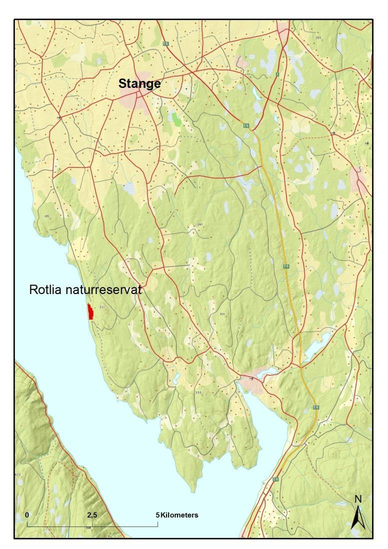 4 OMRÅDEBESKRIVELSE Rotlia naturreservat ligger sør for Stange kirke i Stange kommune. Kilde: Norge digitalt / Fylkesmannen.