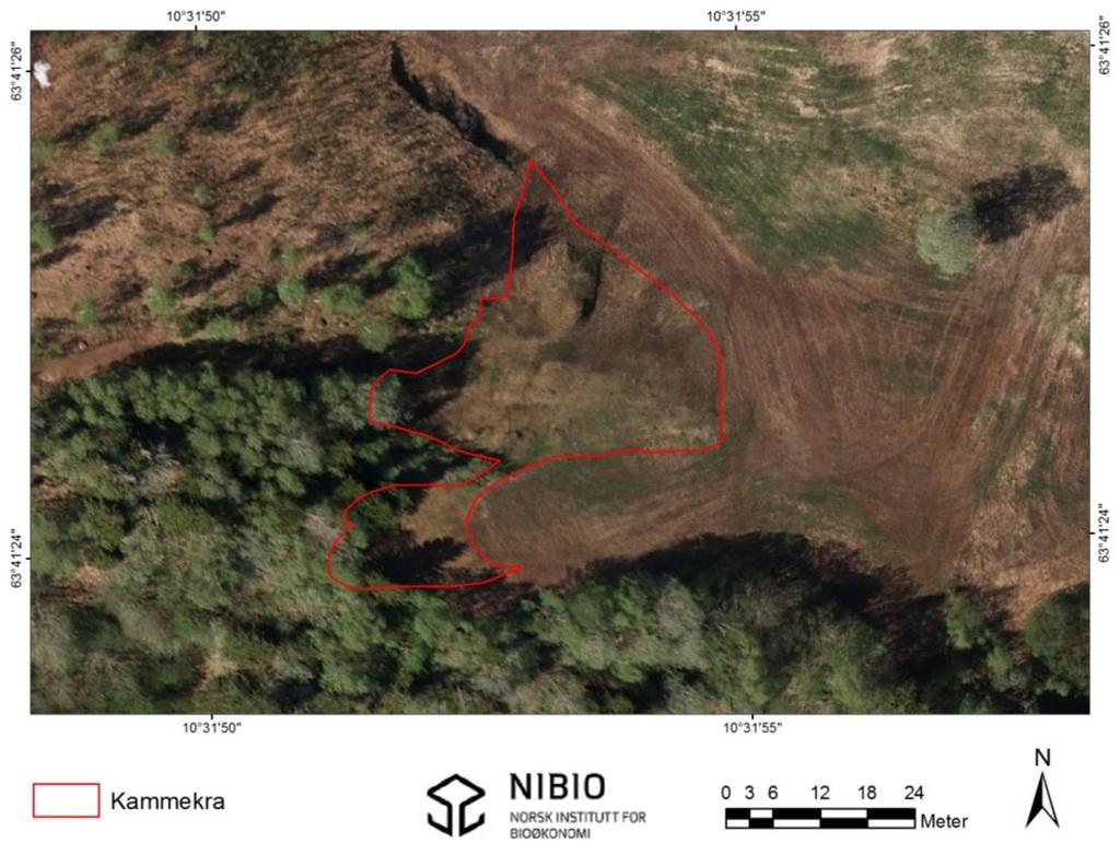 1. Kammekra Figur 3. Oversikt over lokaliteten Kammekra. Kartlagt slåttemark inntegnet rødt. Kartgrunnlag: Norge digitalt.