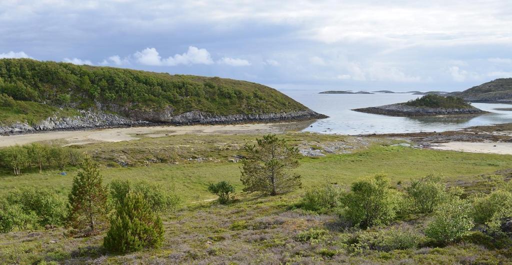 gammelt av hadde variert husdyrhold med storfe, hest, sau, geit og gris. Gårdsbruket drev den siste tiden med kjøtt- og melkeproduksjon, noe som ble avsluttet sist på 1990-tallet.