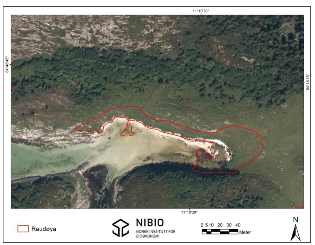 8. Nærøya i sør: Raudøya Figur 93. Oversikt over lokaliteten Nærøya i sør: Raudøya (inntegnet rødt). Kartgrunnlag: Norge digitalt.