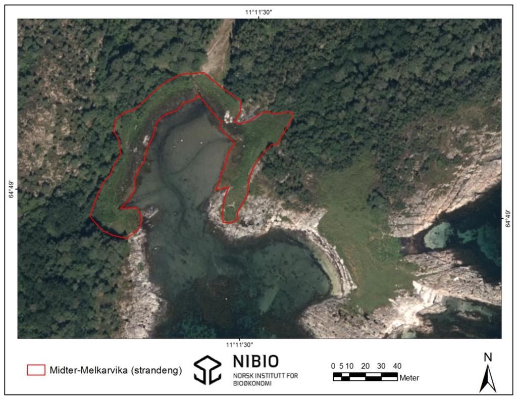 9. Nærøya i sør: Midter-Melkarvika (strandeng) Figur 96. Oversikt over lokaliteten Nærøya i sør: Midter-Melkarvika (strandeng) (inntegnet rødt). Kartgrunnlag: Norge digitalt.