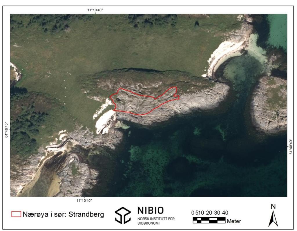 12. Nærøya i sør: Strandberg Figur 105. Oversikt over lokaliteten Nærøya i sør: Strandberg (inntegnet rødt). Kartgrunnlag: Norge digitalt.