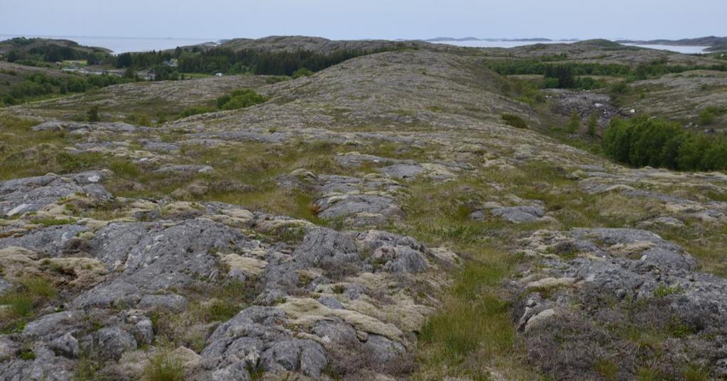 Bilder Figur 108. Kystlyngheia sett mot sørvest.