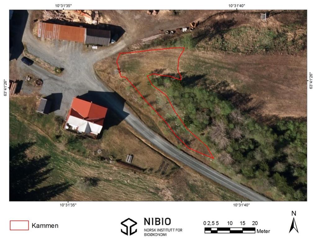 3. Kammen Figur 13. Oversikt over lokaliteten Kammen. Kartlagt slåttemark inntegnet rødt. Kartgrunnlag: Norge digitalt.