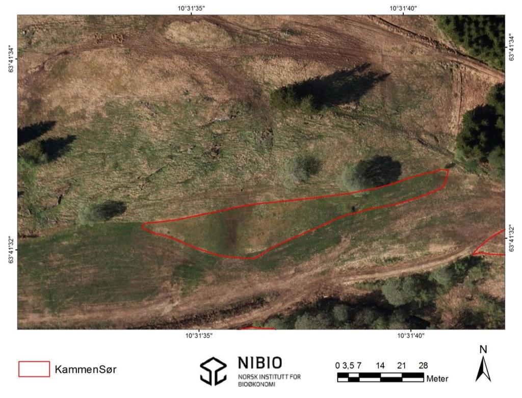 7. KammenSør Figur 31. Oversikt over lokaliteten KammenSør. Kartlagt slåttemark inntegnet rødt. Kartgrunnlag: Norge digitalt.