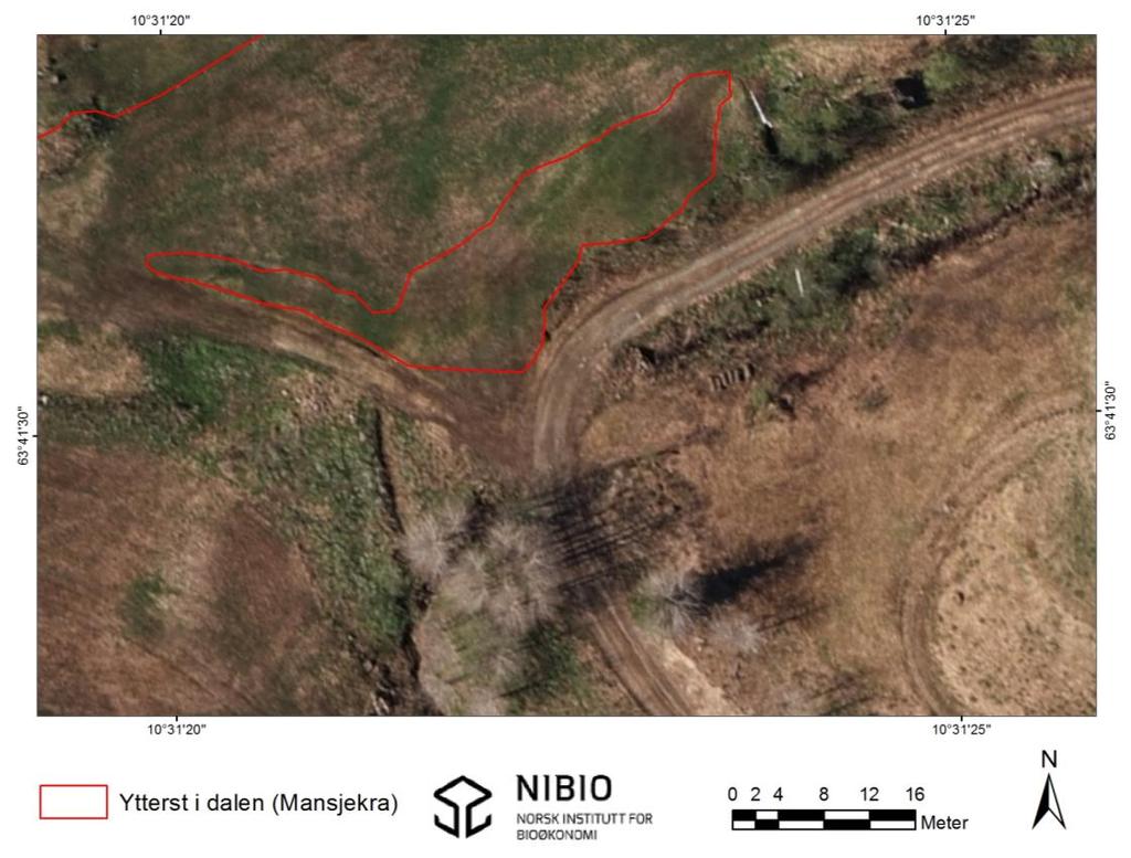 8. Ytterst i dalen (Mansjekra) Figur 36. Oversikt over lokaliteten Ytterst i dalen (Mansjekra). Kartlagt slåttemark inntegnet rødt. Kartgrunnlag: Norge digitalt.