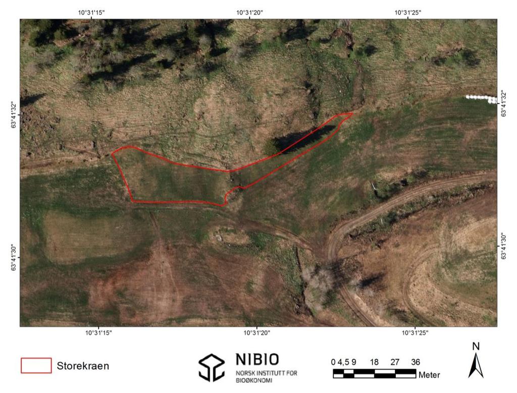 9. Storekraen Figur 41. Oversikt over lokaliteten Storekraen. Kartlagt slåttemark inntegnet rødt. Kartgrunnlag: Norge digitalt.