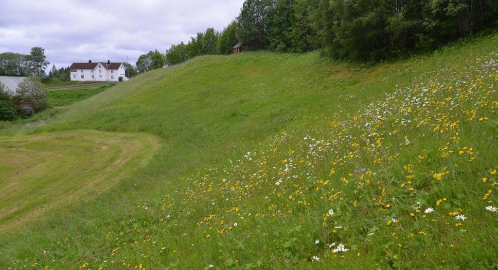 Oversikt over lokaliteten Gromdalen, sett mot sør, med beitesveve og