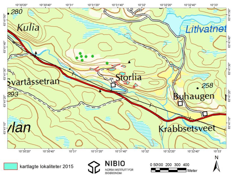 Figur 1. Topografisk oversikt over lokaliteten Storlia, Leksvik kommune.