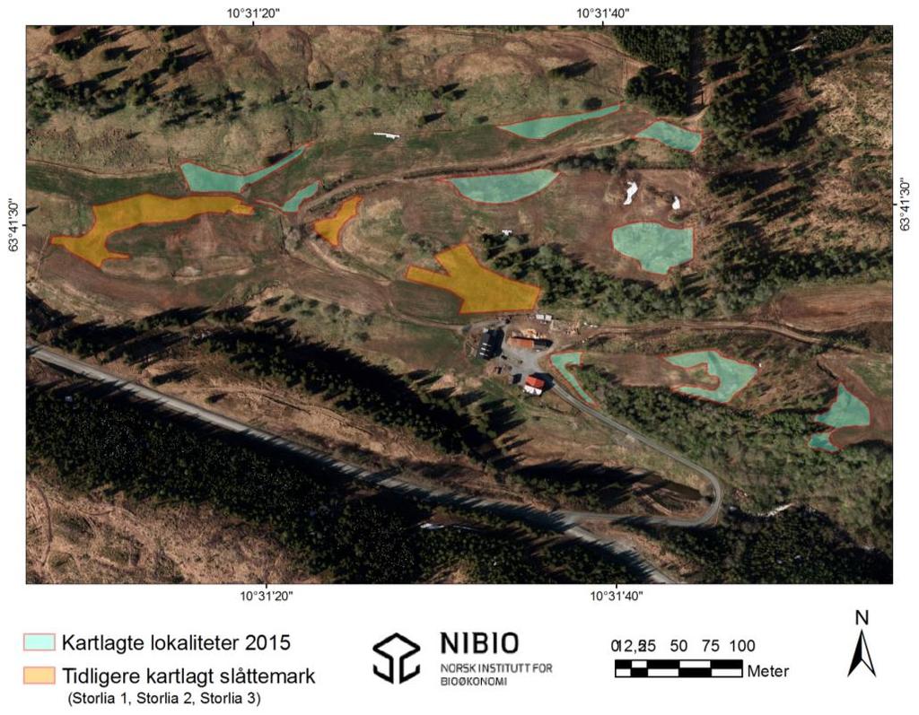 Oversikt over lokaliteten Storlia med kartlagte slåttemarker 2015 (inntegnet grønt),