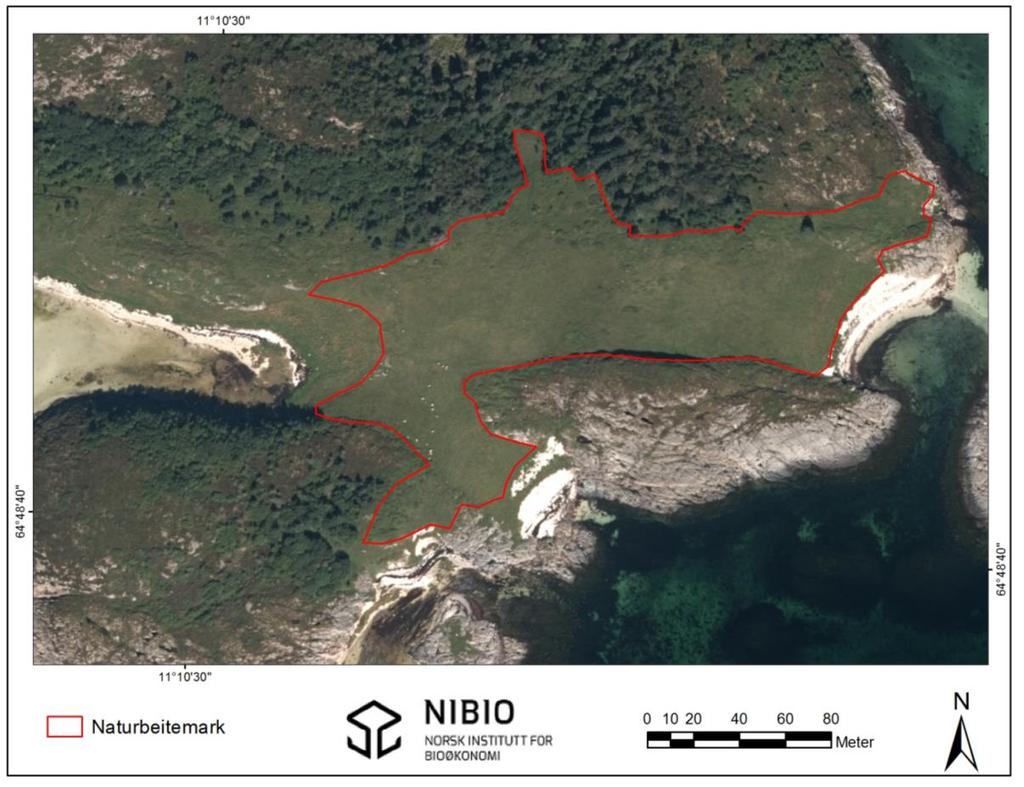 3. Nærøya i sør: Naturbeitemark Figur 76. Oversikt over lokaliteten Nærøya i sør: Naturbeitemark (inntegnet rødt). Kartgrunnlag: Norge digitalt.