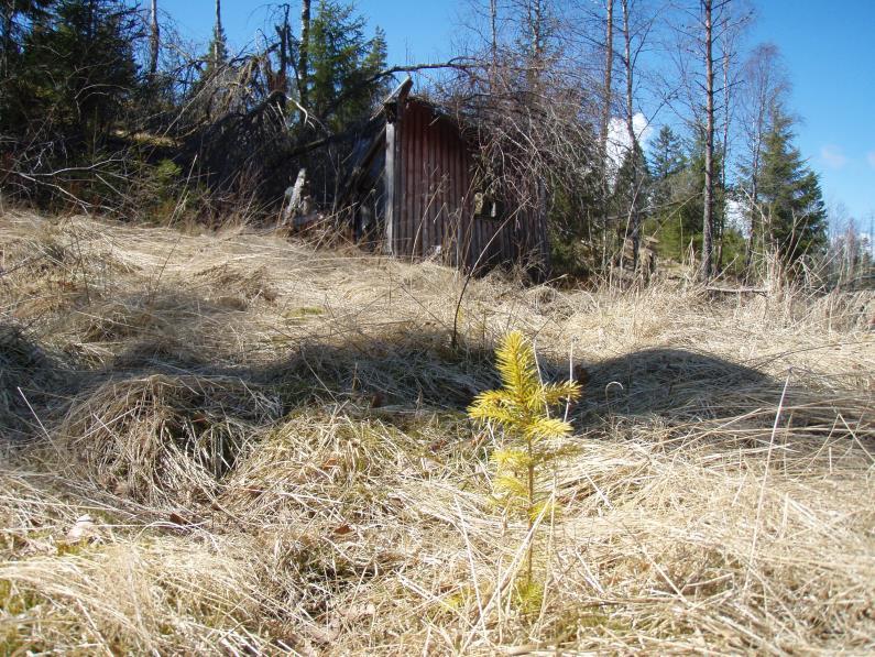 Naturvernforbundet i Østfold Grisehogst Hvordan påvise og påklage en veileder. 3.